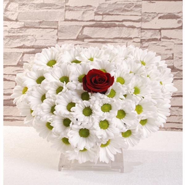  Döşemealtı Çiçek Gönder Kalp Papatya & Tek Gül