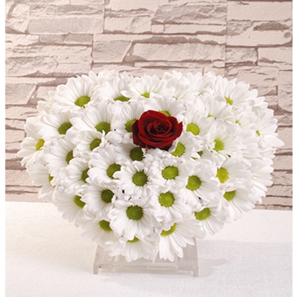 Döşemealtı Çiçekçi Papatya tek Gül  arajman