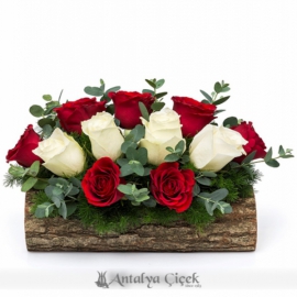  Döşemealtı Çiçekçiler Kütükte Kırmızı Beyaz Güller