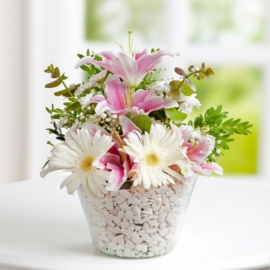  Döşemealtı Çiçekci  Pembe Beyaz Gerbera ve Lilyumlar