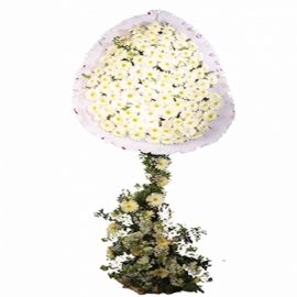  Döşemealtı Çiçekci  Düğün ve Açılış Çiçeği 16 (İki Katlı Çelenk)